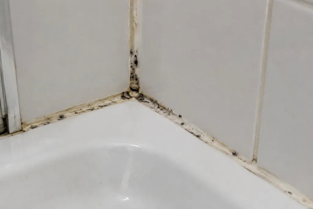 Kitbedrijf Hattem – beschimmelde kitranden